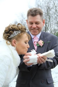 White Dove Release Weddings and Funerals Yorkshire 1089094 Image 7